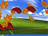 More info about EIPC Autumn Leaves Screen Saver