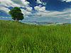 More info about Grassland 3D Screen Saver