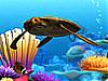More info about Marine Life 3D Screen Saver